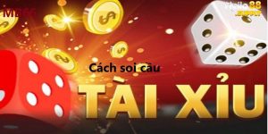 soi cầu tài xỉu online